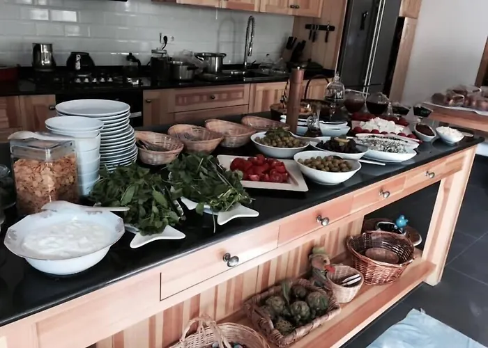 호텔 Misafir Evi 카야코이