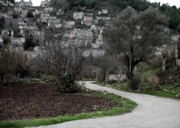 Misafir Evi 카야코이