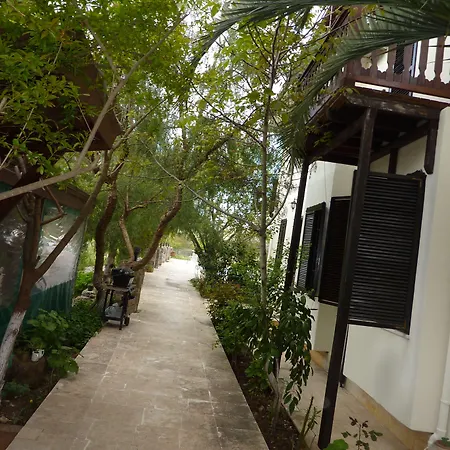 Misafir Evi